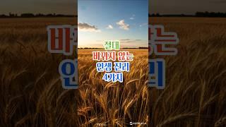 절대 바뀌지 않는 인생진리 4가지#명언#좋은글#삶의지혜#인생조언