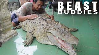 This Family Keep A 200kg Crocodile In Their Backyard | BEAST BUDDIES