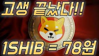 시바이누 [ 고생 끝났다!! ] 1SHIB = 78원, 진짜 이것만 보고 기다렸다!!!