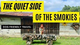 Dog Friendly Travel on the Quiet Side of the Smokies in Townsend Tennessee