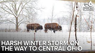 Winter storm arrives in Central Ohio today