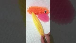 new fidget morf worm #viraltoys #morfworm #newfidget #morf #bigworm #trending #fidget #stressrelief