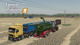 FS19 |Карта Кошмак| Большая уборка День 2, Закончили молотить поле ячменя 51Га