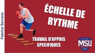 Travail d'appuis spécifiques basket sur échelle de rythme par Fabrice Serrano