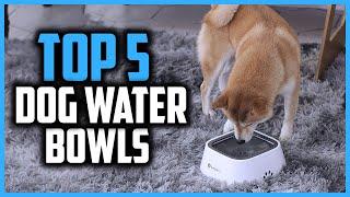 Top 5 Best Splash Proof Dog Water Bowls in 2024