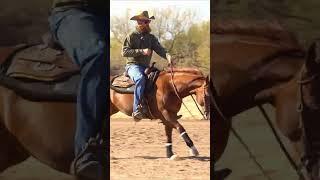 Nothing like a little Bounce and Rattle.... #reining #reiningmasterclass #horsetrainingtips