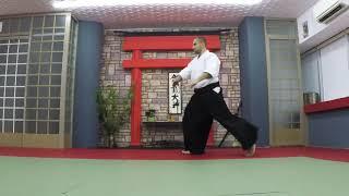 Hasan Mert Bozdoğan Sensei / Aikido Basic Body Shifting Movements