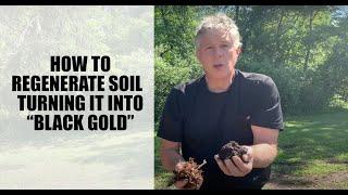 Back to Eden Gardening - How To Regenerate Soil - Preparing and Planting a Wood Chip Mulch Garden