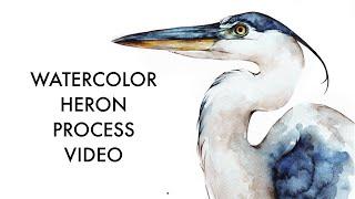 Painting a Great Blue Heron with watercolors, realism mixed with loose washes