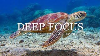 Deep Focus Music To Improve Concentration - 12 Hours of Ambient Study Music to Concentrate #770