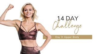 14 Day BBS Challenge - Day 3: Upper Body