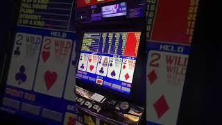  WOW! Dad Got Four Deuces!  4 Deuces!Deuces Wild Video Poker! Live Poker Play at Casino!