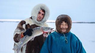 Pastores Nómadas del ÁRTICO |  Supervivencia extrema a -50º