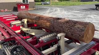 Lot# 2448 • BRAND NEW 2022 3680 TIMBER BUDDY for sale