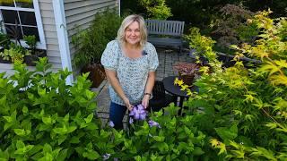 Cut Flower Garden Tour, DIY Weed Killer, Edging Mulching, Nursery Trip & Adding Vego Solar Lights