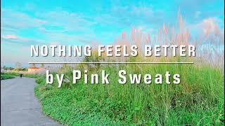 ️Nothing Feels Better by Pink Sweats ️ - cover by Ayeen