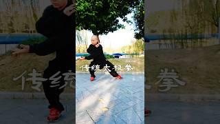 Tai Chi丨太极拳，杨氏太极拳，野马分鬃 #太极 #kungfu #太極拳 #taijiquan