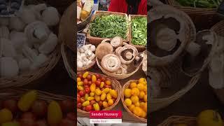 Sunder Nursery Sunday Bazar Farmers Market March 2025 | Full video @suzie'sSTEP