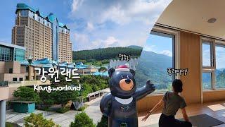  From the forest to Kangwon Land Casino ️│Higune Jeongseon Ep.2