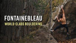 Climbing In Fontainebleau • Spring Sessions In a Bouldering Paradise