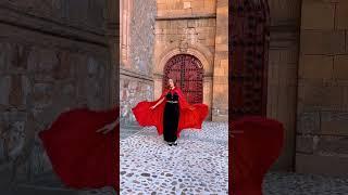 red velvet cloak, adorned with intricate spider embroidery