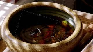 Close up view of tea pouring in tea bowl