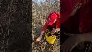 ЗАЯЦ На кирпич !! #охота #заяц #охотник #hunting #охотаназайца