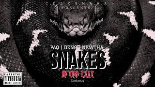 Paq ft. Deno & Newtha - Snakes (Audio) | @inthacutmag