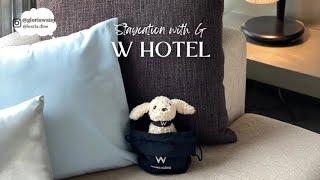 【Staycation】W Hotel Hong Kong｜香港W酒店｜Room Tour