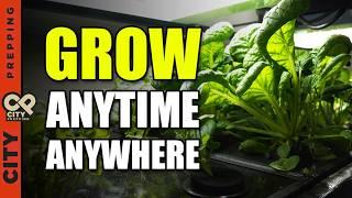 How To Grow Food Indoors - Eden Grow System