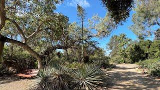 California Botanic Garden, Claremont, California | CA native plants, some rare or endangered