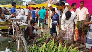 Biggest Village Kacha Bazar | Fresh Vegetables Market In Bangladeshi Local Village 2017