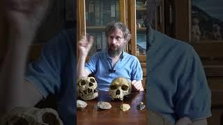 Что скрывают антропологи? Как определяют датировку – Станислав Дробышевский #дробышевский #наукаpro