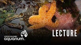 Introduction To Marine Life Course: Inter-tidal Marine Organisms