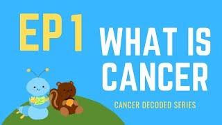 [Cancer Decoded Ep.1] What is Cancer?