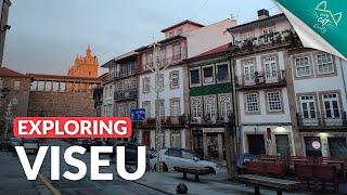 Living in Viseu: Portugal’s Affordable Green Hidden Gem - Cool Cat Portugal