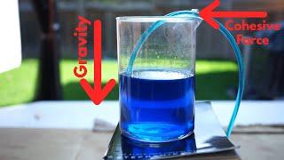 Awesome Physics Behind the Siphon