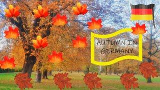 Autumn In Germany 2021 with Calm Endless Love Music