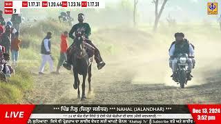 Nahal | Jalandhar | Horse Race | 13 Dec 2024 | Khalsaji Tv