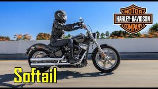 2022 Harley Davidson Softail Standard |TM