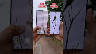 Samsung S22 Ultra vs Samsung S24 Ultra Zoom Test #samsung #s22ultra #s24ultra #comparison #shorts