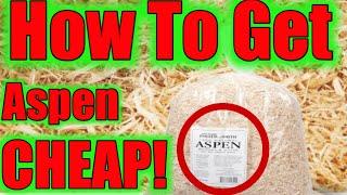 HOW TO GET REPTILE BEDDING FOR CHEAP! STEP BY STEP (Aspen Bedding) SerpentSityExotics