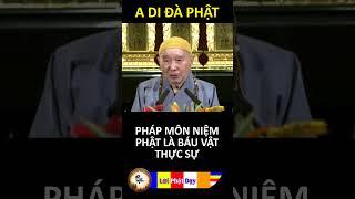 PHÁP MÔN NIỆM PHẬT LÀ BÁU VẬT THỰC SỰ | Pháp Sư Tịnh Không | Phật Pháp Nhiệm Màu