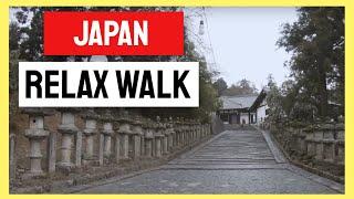 ‍️【4K】WALK Nara Temples Japan - Historic Temple Tour  Slow TV Travel Vlog