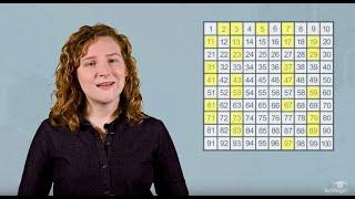 What is a Prime Number? What Are Prime Numbers Used For?