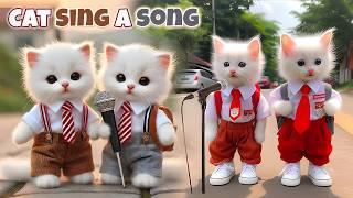 KITTEN SONG ANIMATED CATS SINGING  COLORFUL CATS VERSI HADROH SHOLAWAT KUCING | HALAL HEROES