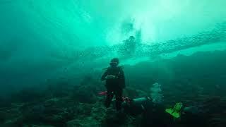 diving in Moalboal Cebu with sardines