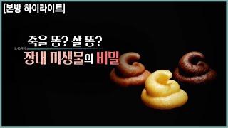 우울증, 관절염, 자폐, 치매에까지 영향을 미치는 내 장 속 미생물 (KBS_2019.12.11 방송)