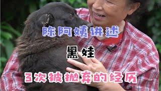 陈阿姨和毛孩子们的故事——被原主人遗弃3次的“黑娃”