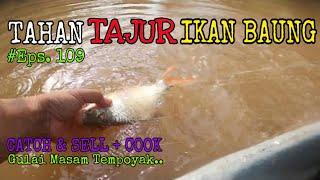 TAHAN TAJUR | IKAN BAUNG 109